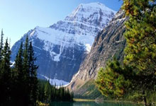 开云APP-里昂客场失利，遭遇挑战者在比赛中