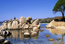 开云体育登录-匈牙利队成功晋级，期待下一场比赛