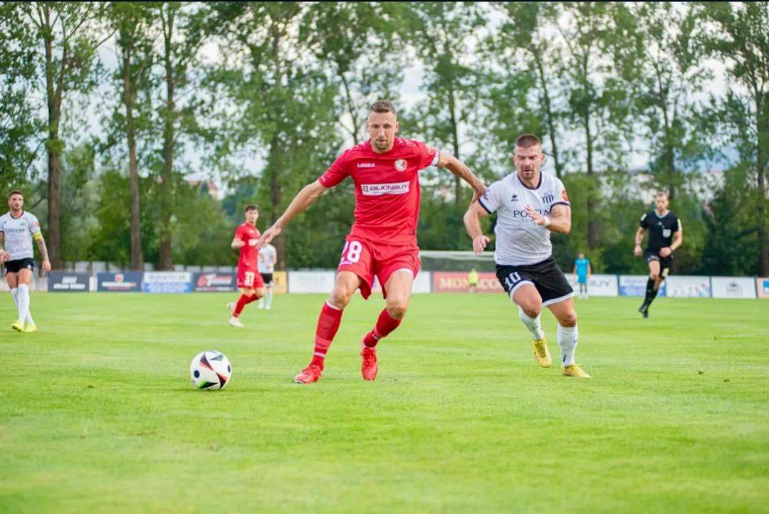 斯洛伐克球员在国际比赛中打出好戏 斯洛伐克球员在国际比赛中打出好戏