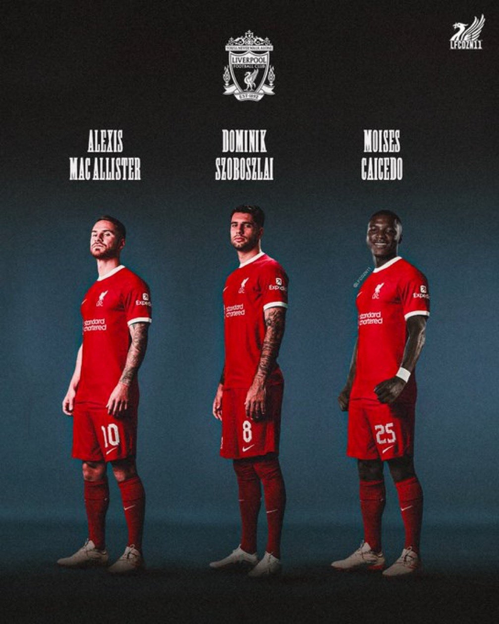 关于阿森纳中场威廉斯加盟利物浦引发球迷热议的信息 关于阿森纳中场威廉斯加盟利物浦引发球迷热议的信息