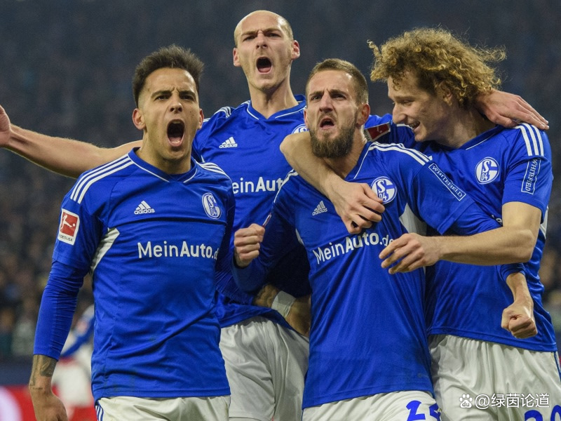 沙尔克将主场对阵波鸿,寻求胜利 沙尔克将主场对阵波鸿,寻求胜利