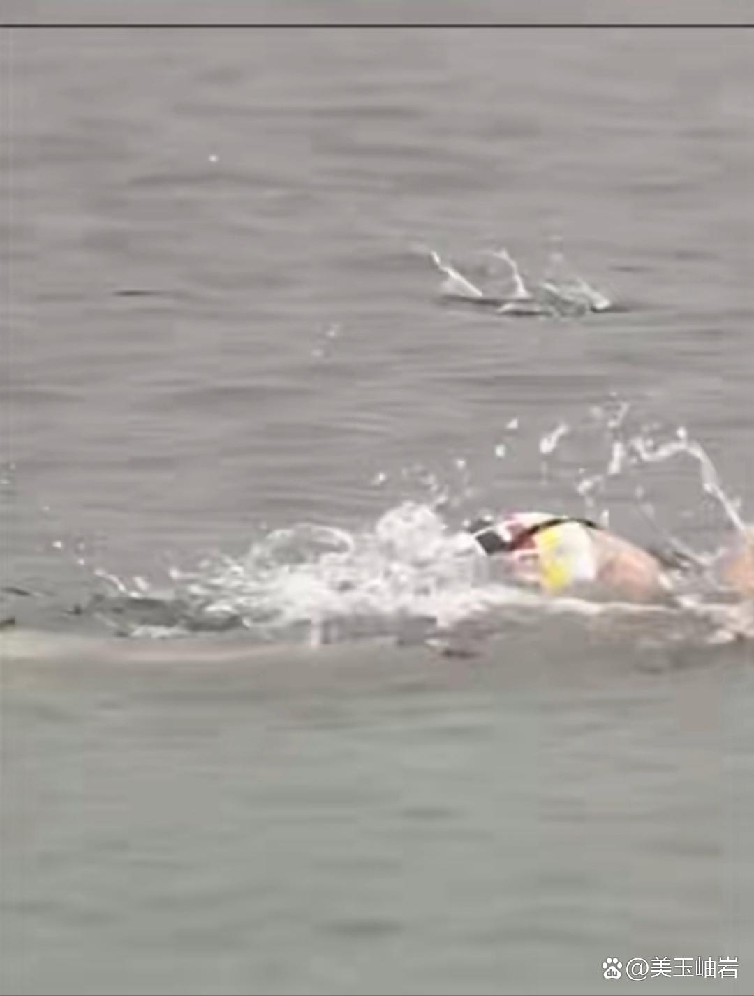 开云体育登录-新加坡游泳选手突破个人记录