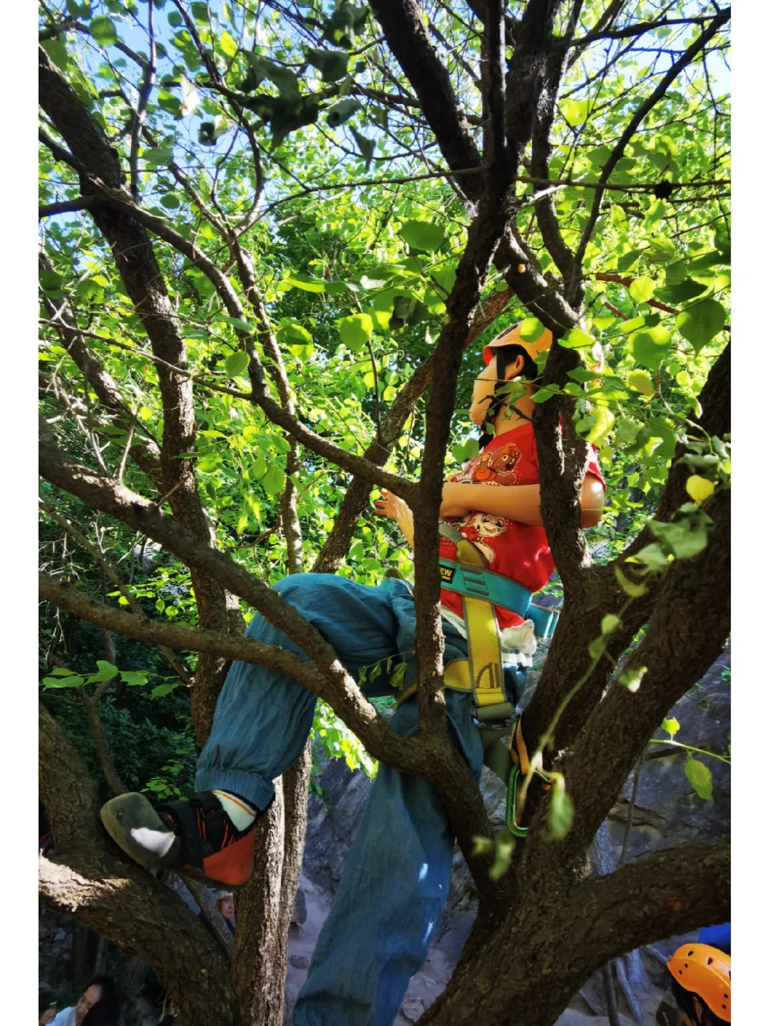 俄罗斯花游队首次登顶,优美动作令人震撼 俄罗斯花游队首次登顶,优美动作令人震撼