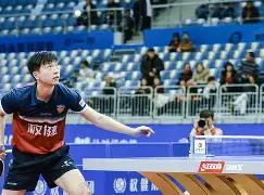 权健主场遭遇困境，功亏一篑无力回天的简单介绍