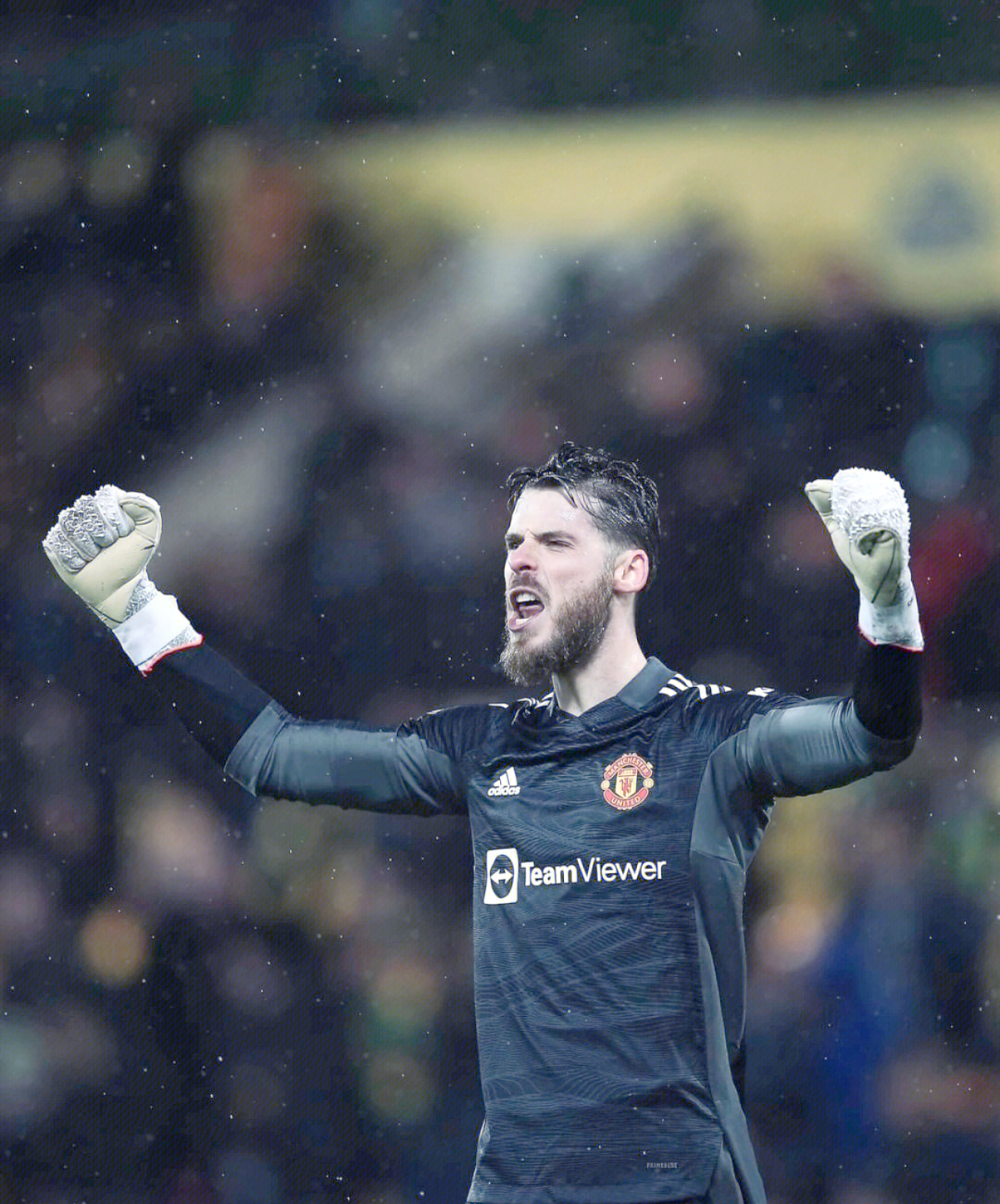 关于诺维奇发挥不错,稳步向英超升级逼近的信息 关于诺维奇发挥不错,稳步向英超升级逼近的信息