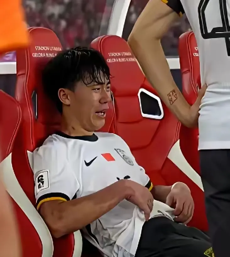 包含印尼队绝杀法国队，桃田贤斗统治全场的词条