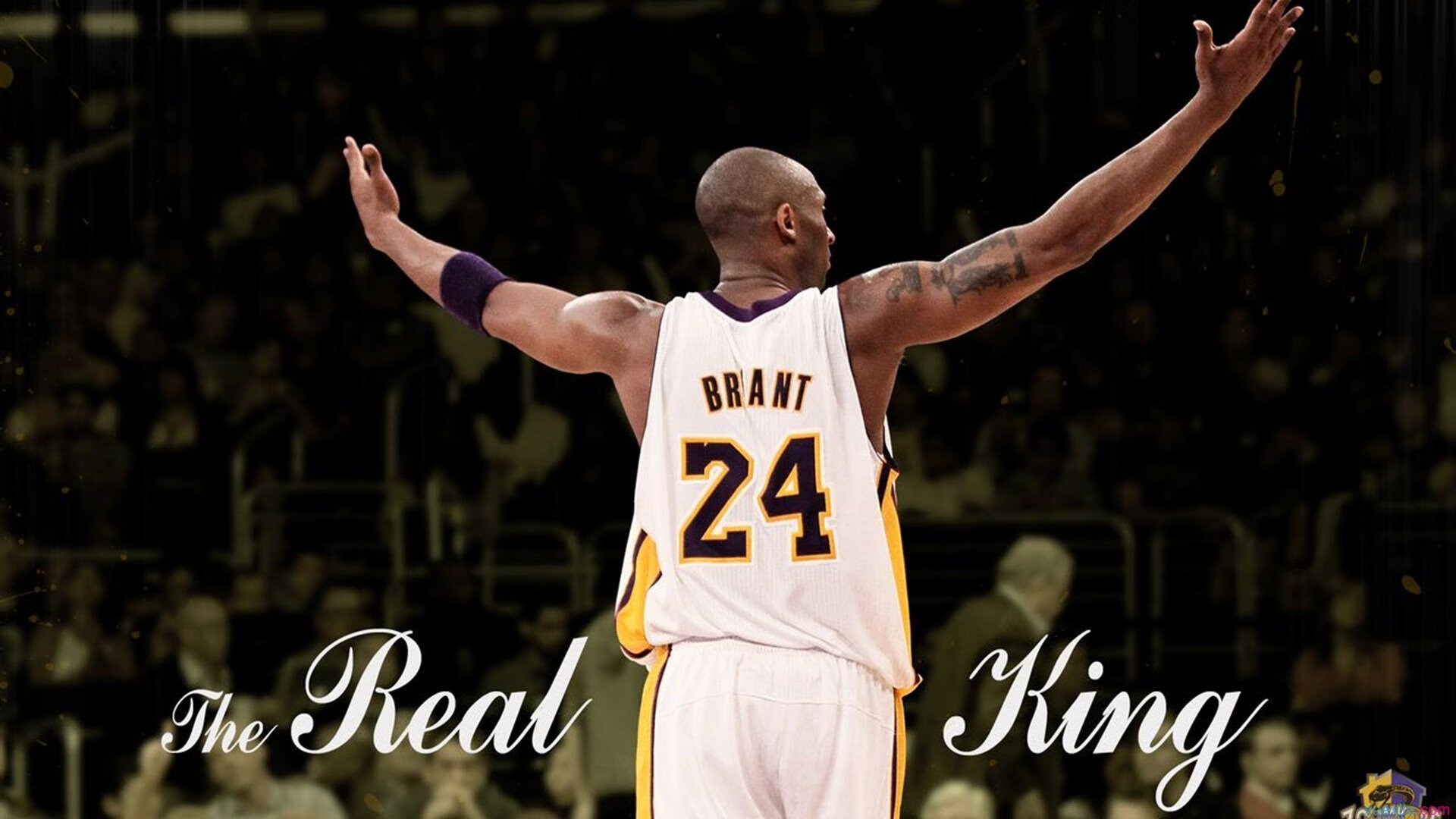 巨人的沉默与轰鸣,戈贝尔用防守重定义巨星价值