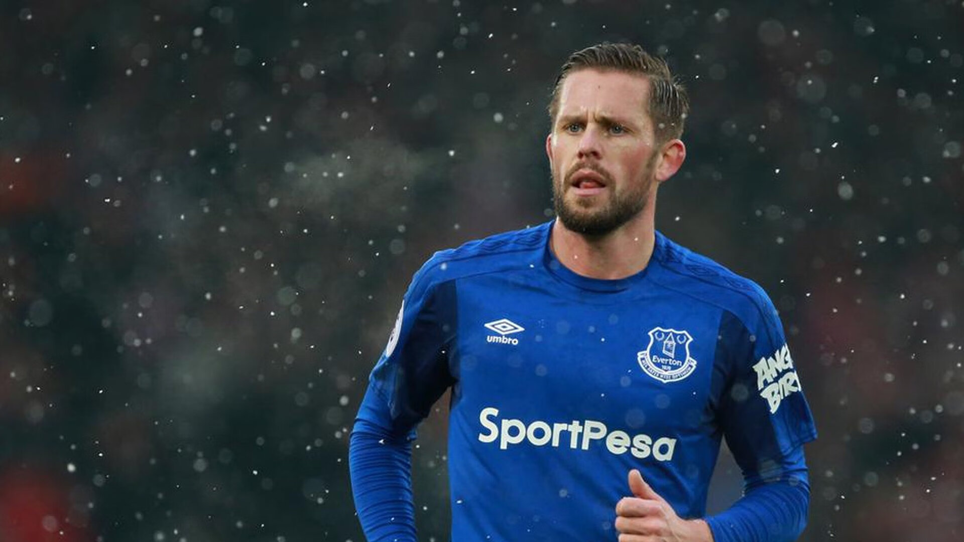 世界不会熄灭他，当穆雷的火焰灼穿冰冷的数据碾压论